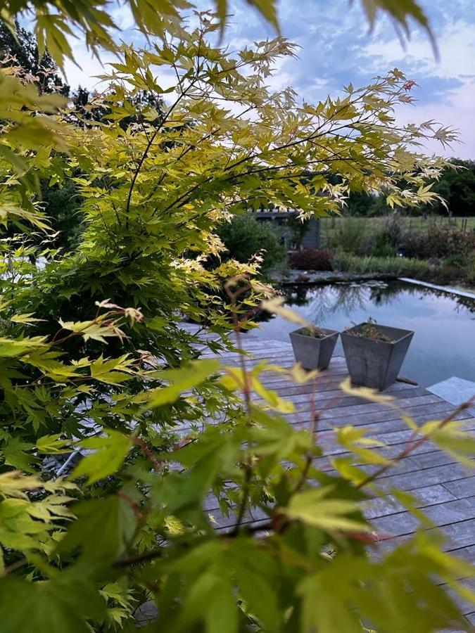 O Nature Bed & Breakfast Grez-Doiceau ภายนอก รูปภาพ